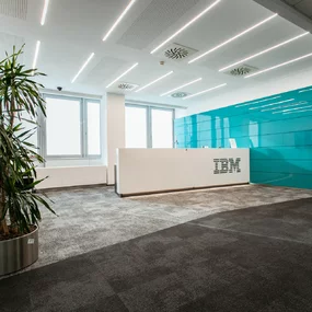 IBM Apollo
