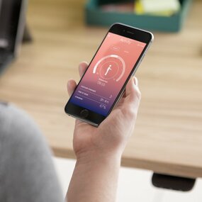 Rise app